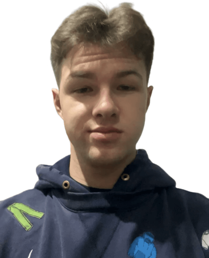 Professional developer